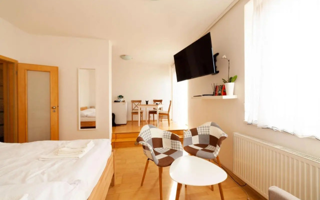 Vitkov Park Apartment