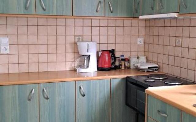 Vivis house