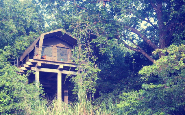 Explorer by Eco Team - Wasgamuwa National Park
