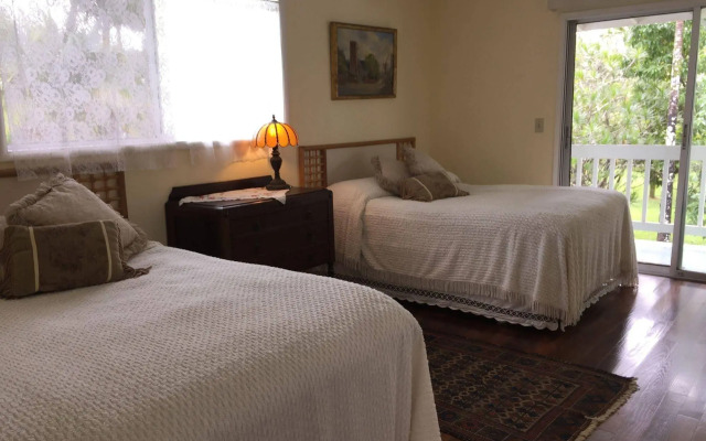 Lava Tree Tropic Inn