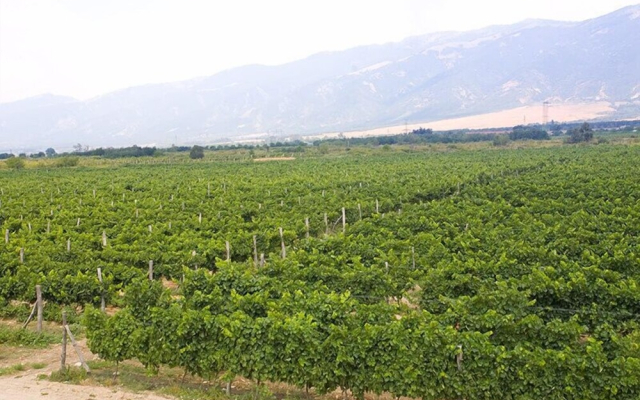 Maison & Chateau Copsa