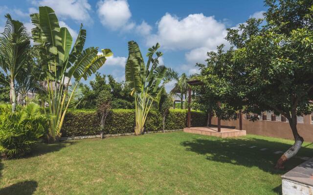 Green Paradise