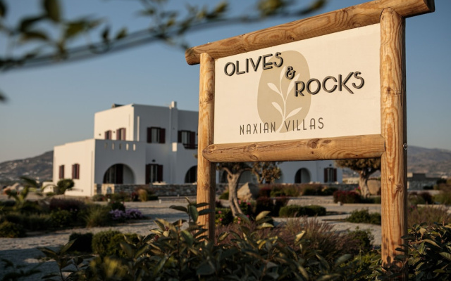Rocks Naxian Villa With Private Pool
