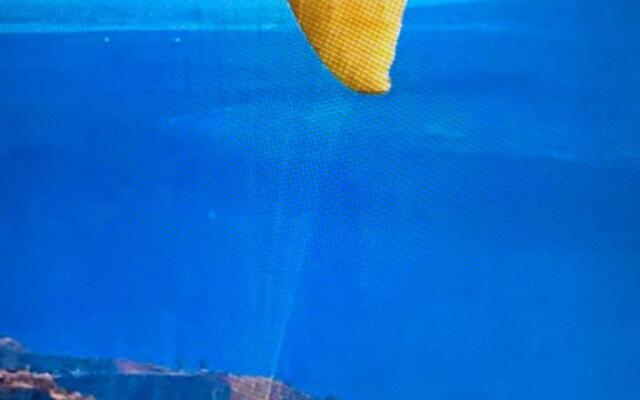 GreenPine Orchid Ocean View Retreat