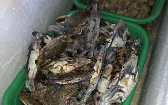 Sea Breeze Lodge Ngapali