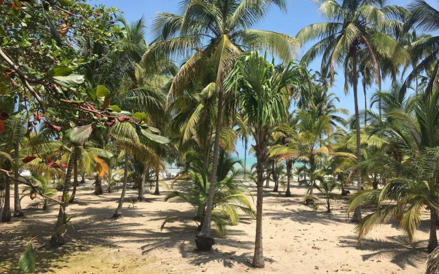 Playa Mandala