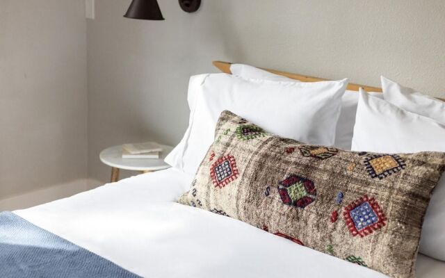 Bluebird Ct - Starling