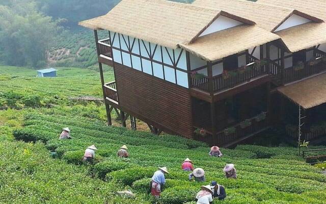 Alishan Mountain B&B