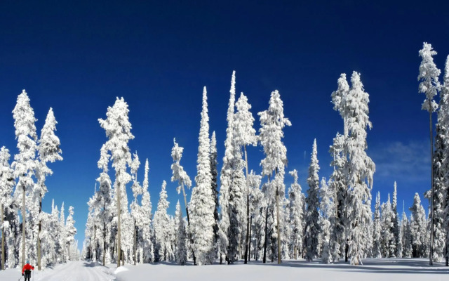 The Pine Lodge on Whitefish River