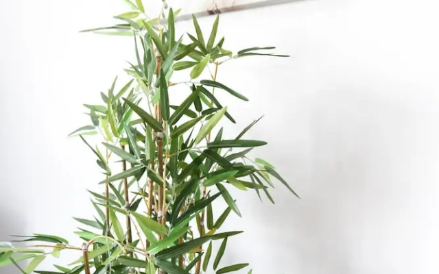 Week2Week Stunning 2 Bed Tynemouth Apartment