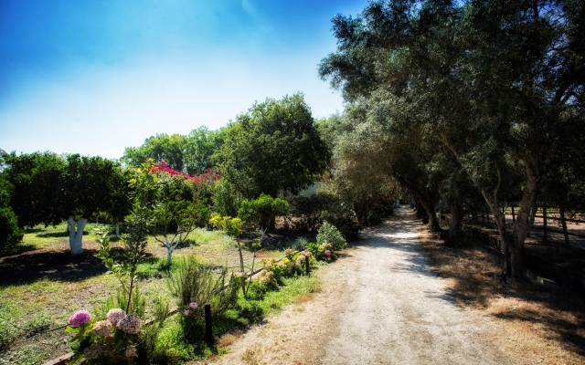 Quinta da Praia das Fontes