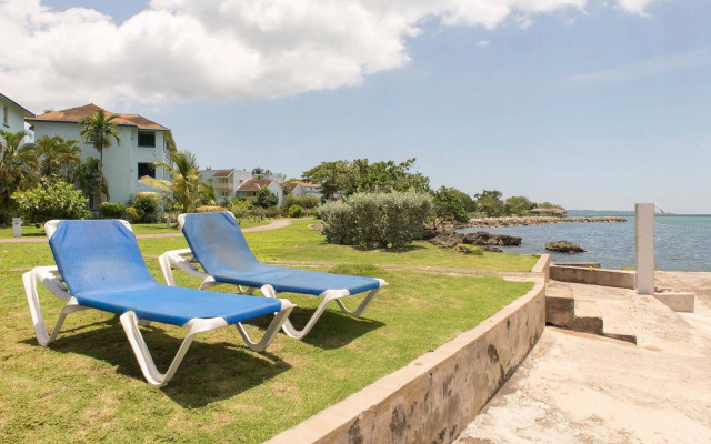 Mango Beach Studio