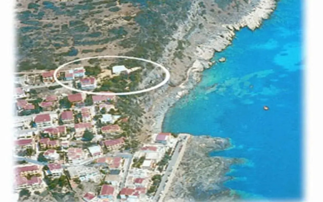 L'Oasi