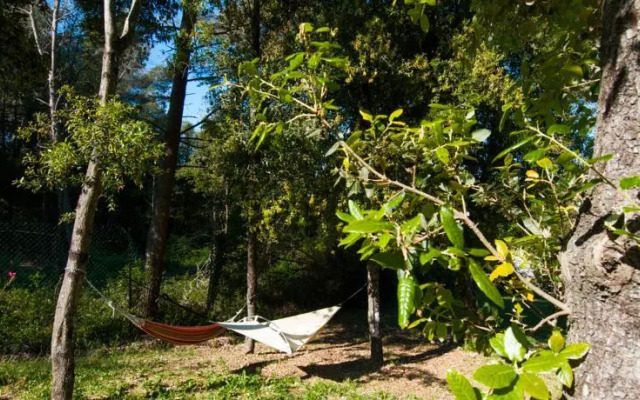 B&B La Casa Nel Bosco