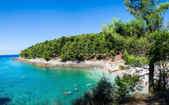 Pool Apartment Suzi 4