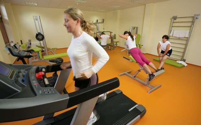 Wellness Hotel Patince