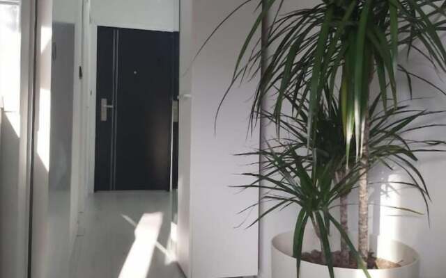 Mario - 5 Minutes to the Beach - A1