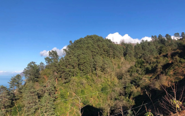 Yesil Vadi Apart Otel