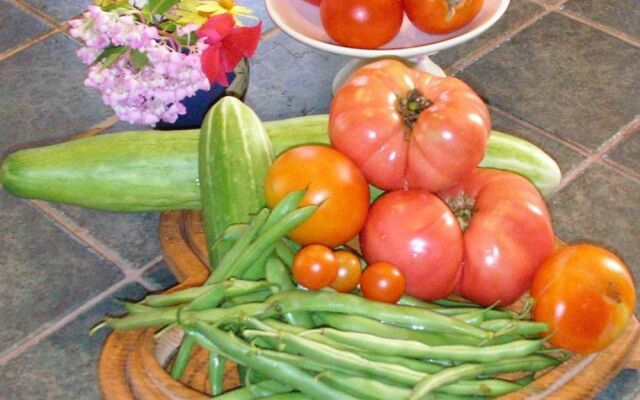 The Pines of Dresden B&B