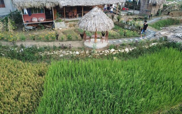 Golden Rice Garden Sapa