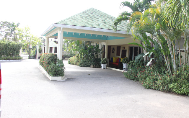 Negril Palms