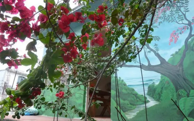 Mr. Mullet's Hostel