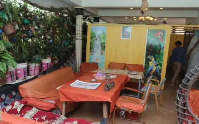 Vertical Garden Hostel