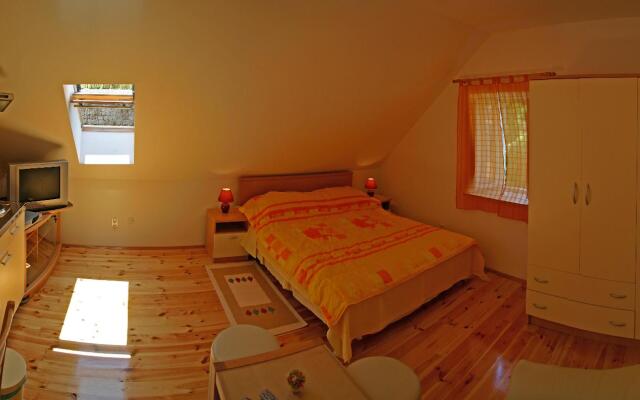 Apartment Miletic