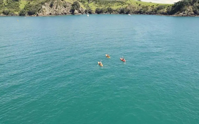 Waiheke Backpackers Hostel