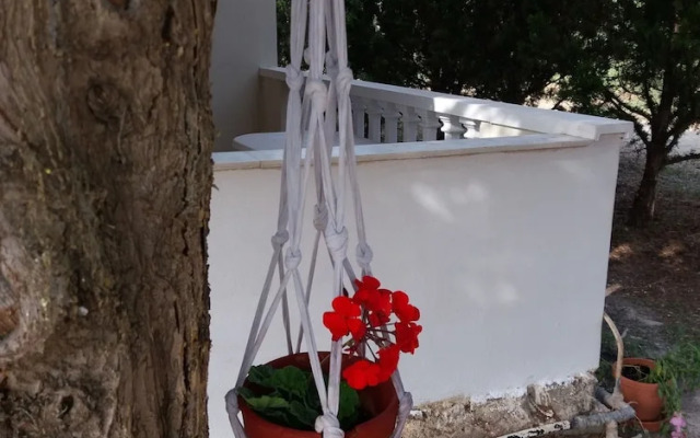 Rossa 18