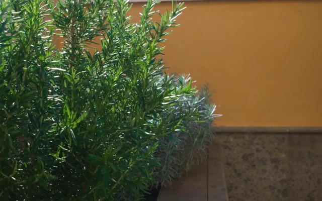 Lujoso y moderno dúplex con fantástica terraza