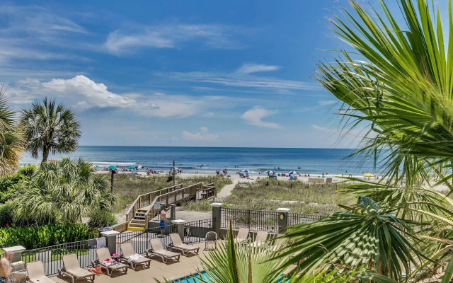 Carolina Dunes