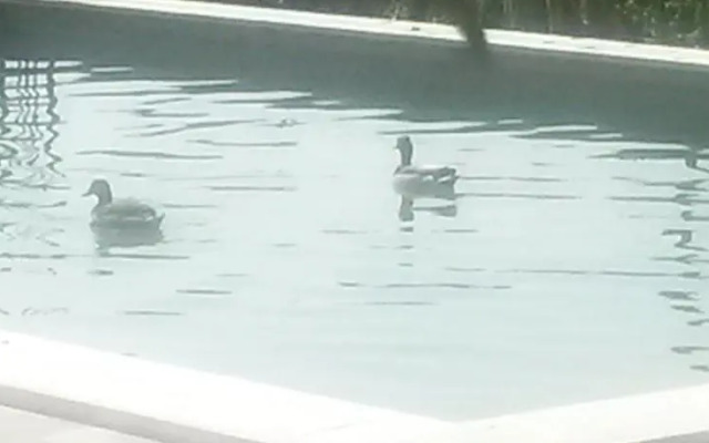 Agriturismo Zia Palmira