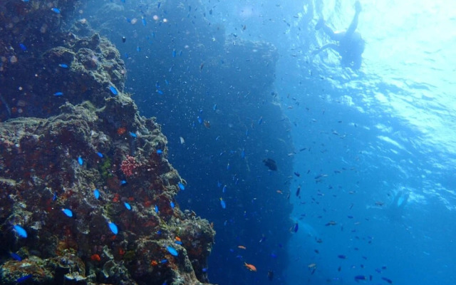 Guesthouse SORA - Hostel