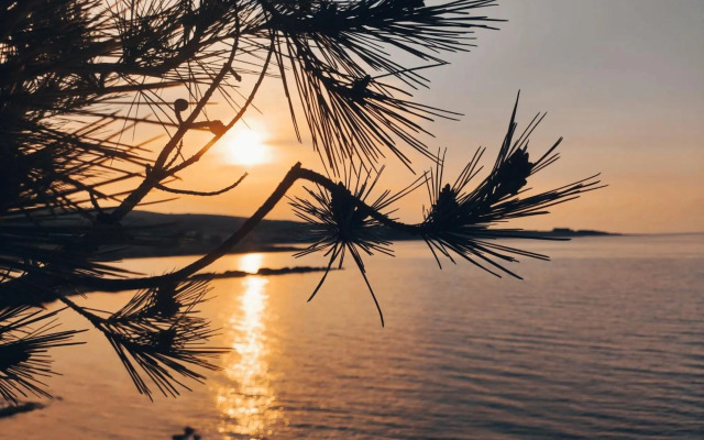 Apartmani Novak - Vir