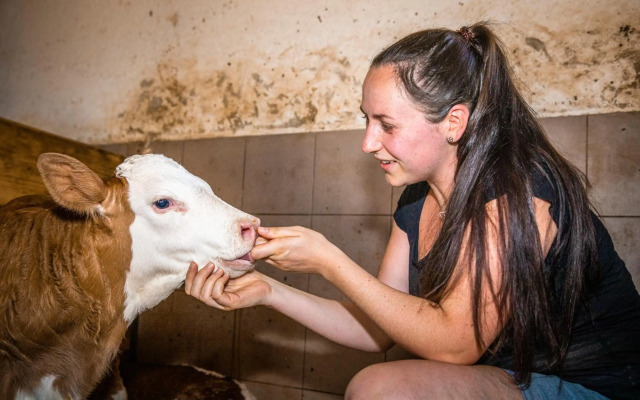 Lindbichlhof Urlaub am Bio Bauernhof