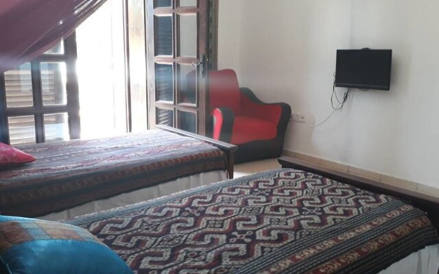 Lazy Lizard Boutique-Hotel
