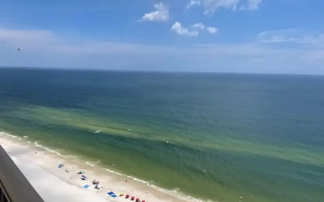 The Oasis at Orange Beach by Hosteeva