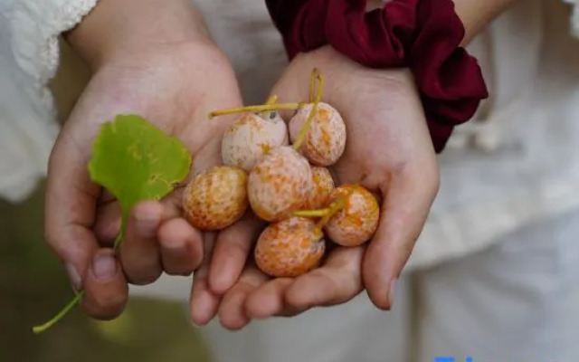 Mrs＇ X Coffee Hotel