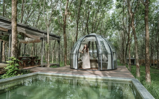 Timber Society Boutique Hideaway
