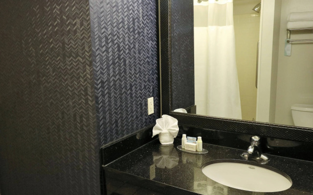 Fairfield Inn & Suites by Marriott San Antonio Alamo Plaza/Convention Center