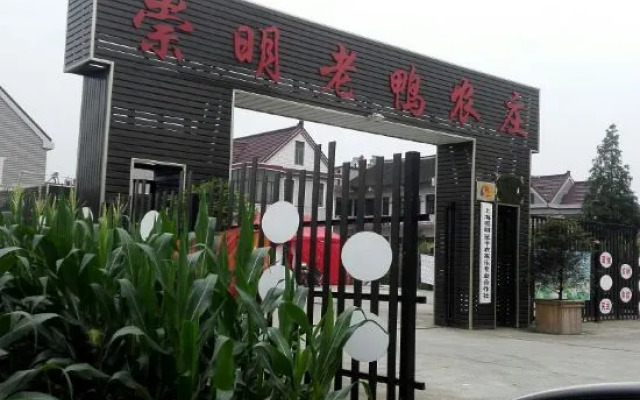 Shanghai Chongming Laoya Farm (No.1 Branch)
