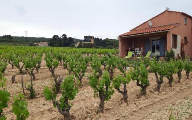 Gîte " Au Milieu des Vignes "