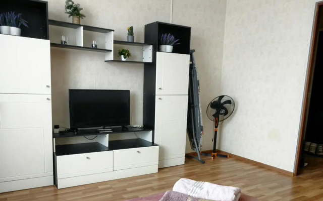 Apartments on Gorky street 5