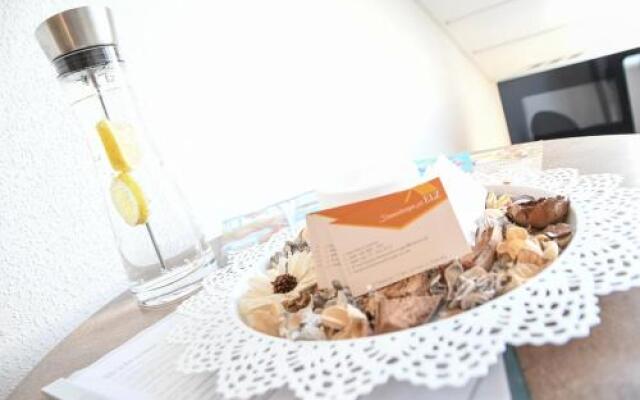 Ferienwohnungen zur Elz