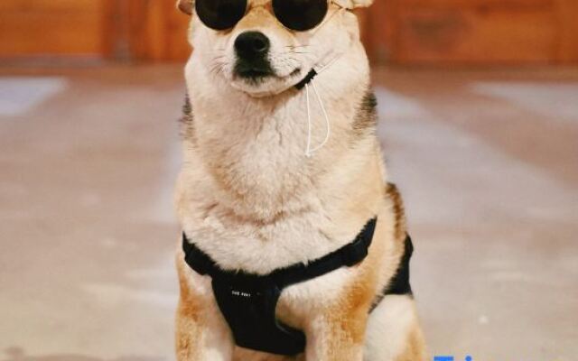 Floral Hotel·Moganshan Natural House Pet Hotel