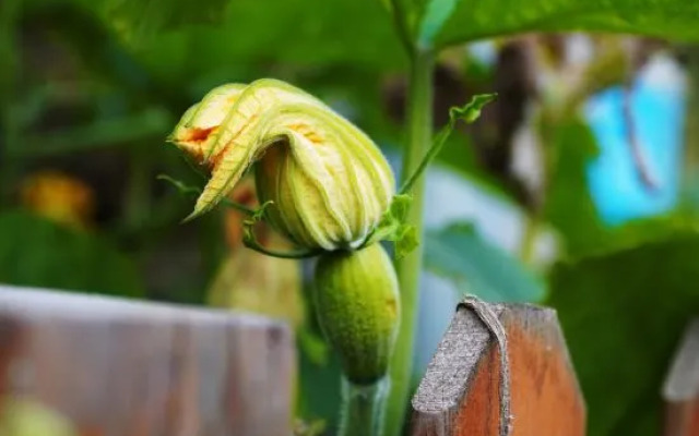 Tianjin Yishanshui Homestay