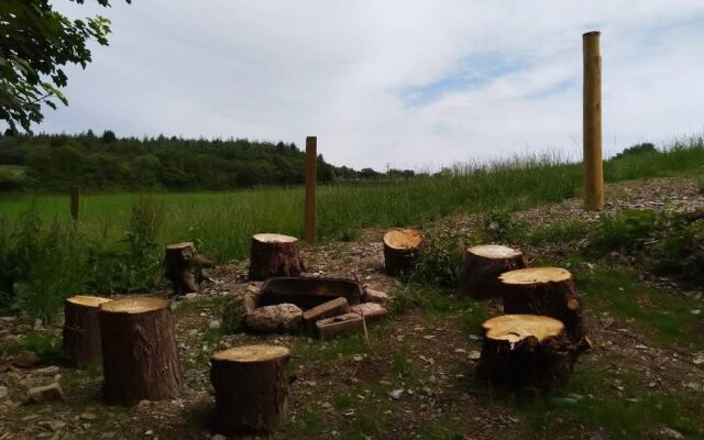 Pilgrims Shepherd's Hut - Goosewell Glynn Glamping