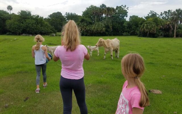 Beautiful Vacation Home CBC FARMS