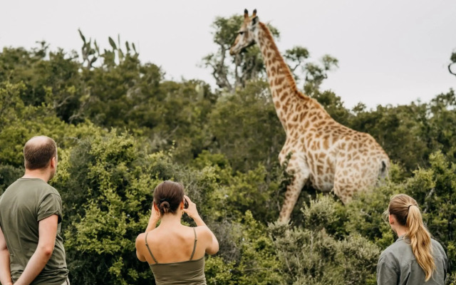 Elephants Lodge - Bellevue Forest Reserve